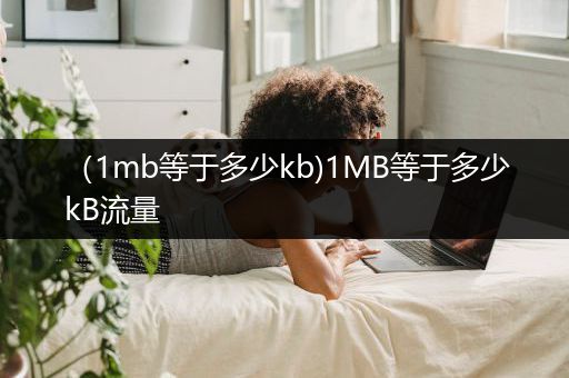 （1mb等于多少kb)1MB等于多少kB流量